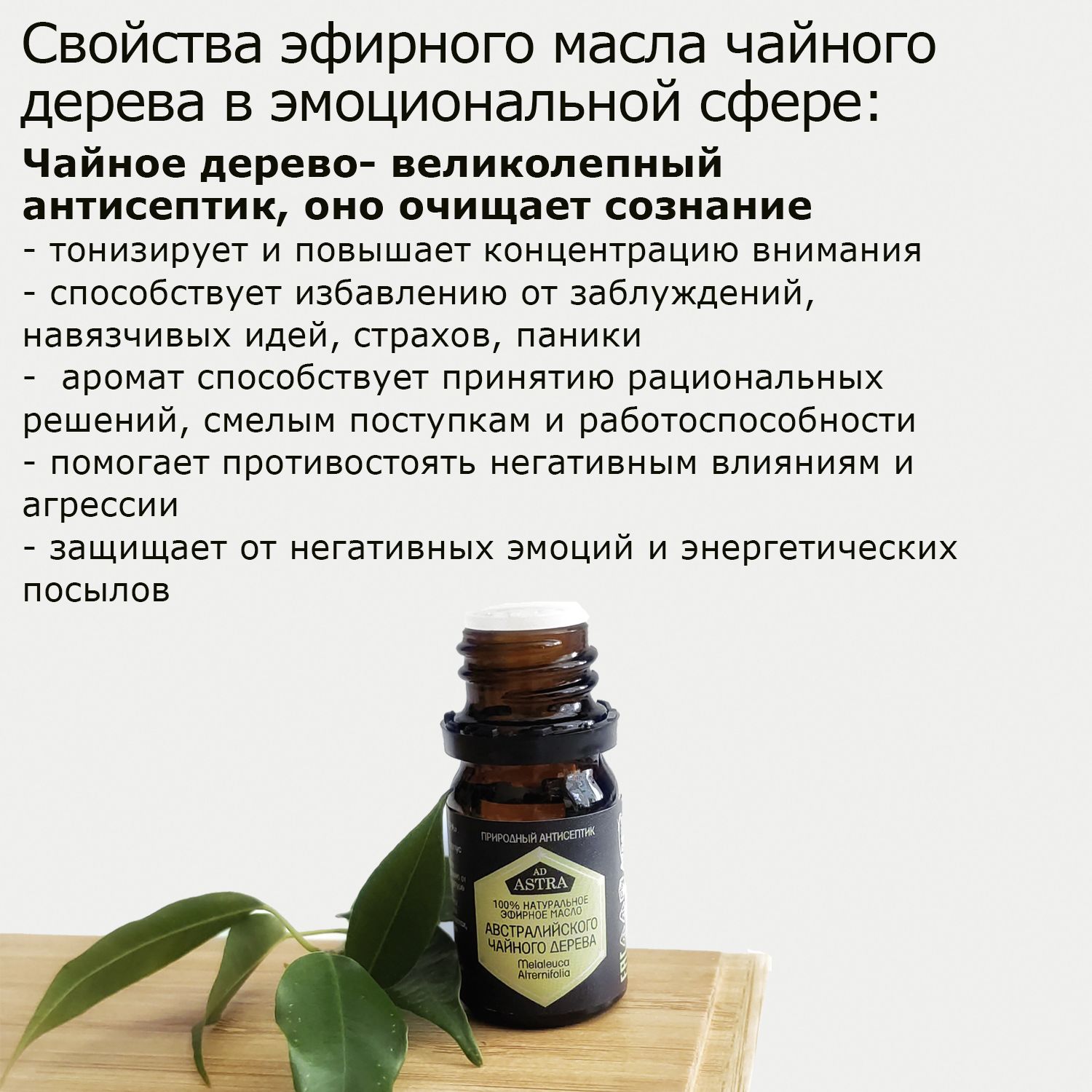 Рецепты с маслом чайного дерева в уходе за волосами: отзывы о применении