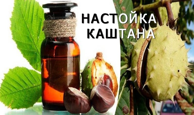 Настойка каштана: лечебные свойства, применение, противопоказания – здоровье как усилие воли