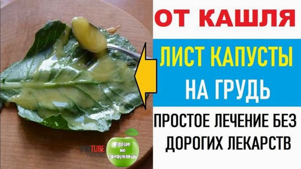 Капустный лист с медом от кашля ребенку или взрослому: как сделать компресс, сок, отвар