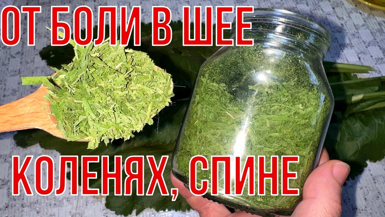 Лечение боли в спине хреном
