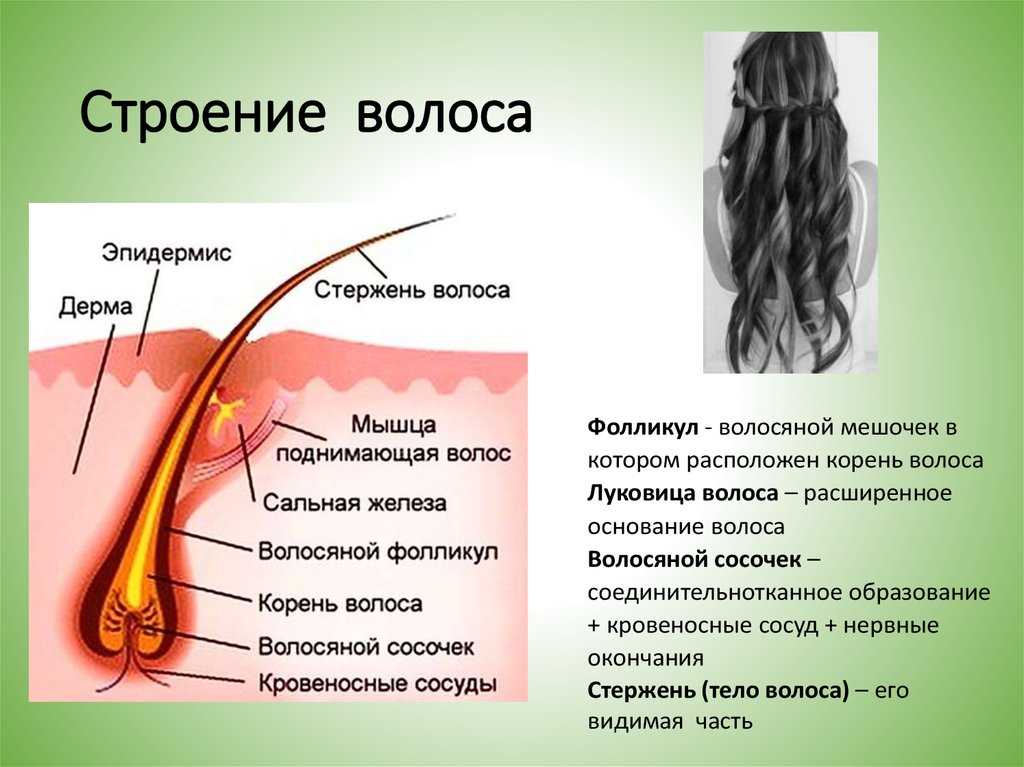 Рианна поделилась новым фото: у нее снова короткие волосы