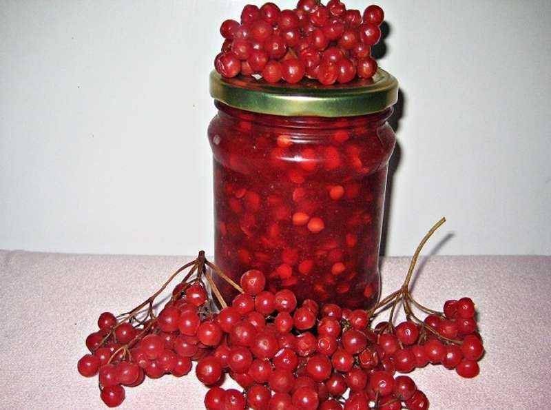 Калина — рецепты приготовления на зиму калины красной