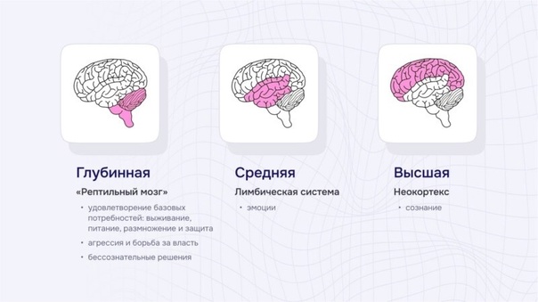 Рептильный мозг