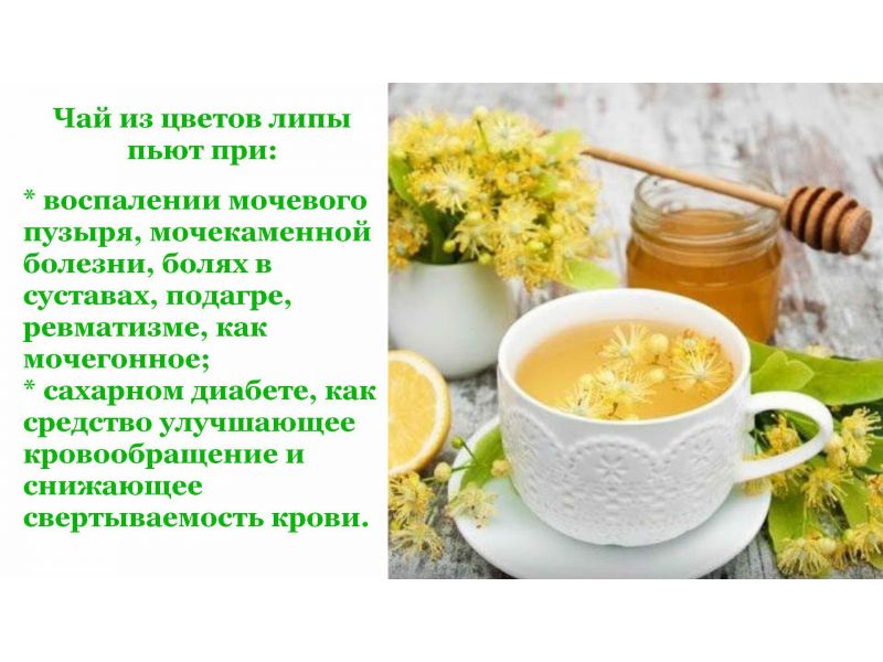 Липовый цвет для красоты и здоровья будущей мамы
