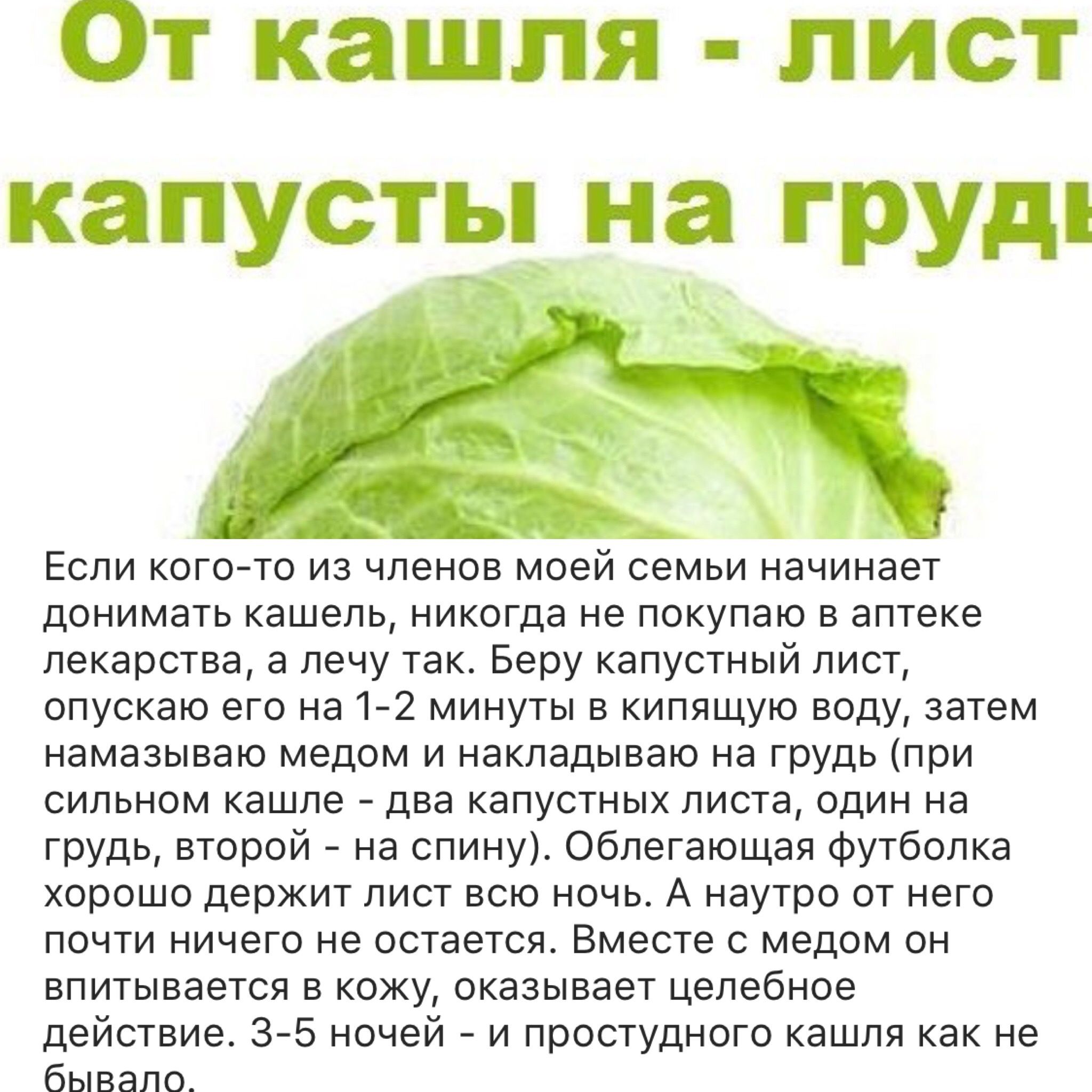 Капустный лист с медом от кашля — доступный и безопасный метод лечения кашля