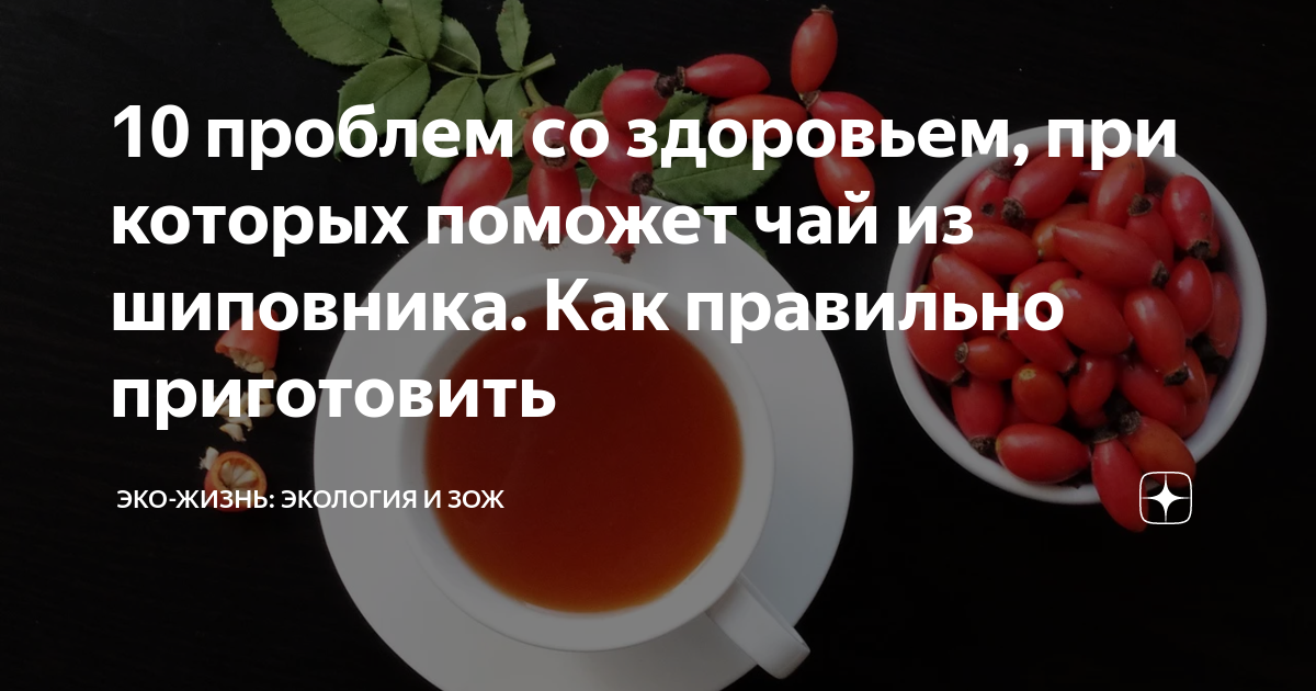 Как правильно заваривать шиповник, чтобы сохранить витамины