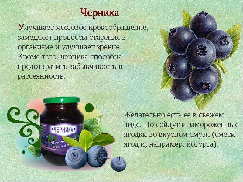 Черника – состав и полезные свойства ягоды, вред и противопоказания