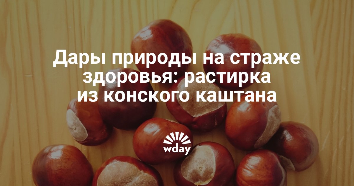 Состав конского каштана Лечебные и полезные свойства плодов Применение каштана в народной медицине Рецепты приготовления настойки на водке и спирту, рецепт мази