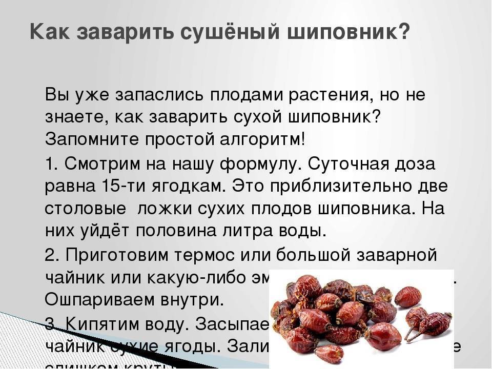 Как сушить шиповник в домашних условиях, заготовка и способы приготовления