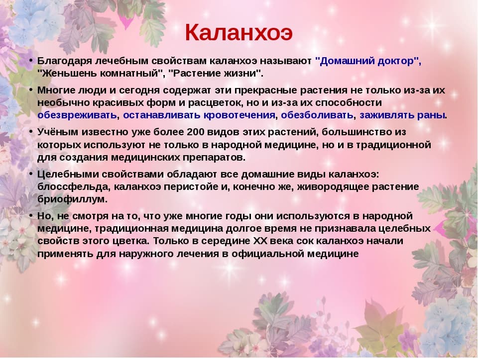 Сок каланхоэ от насморка для детей