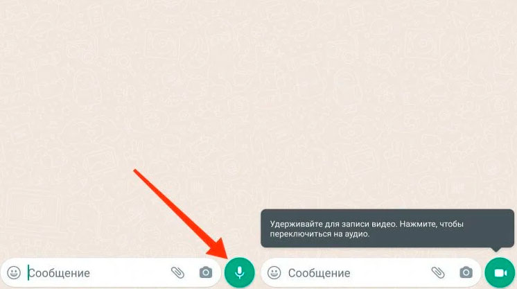 Автоматическая отправка сообщений в whatsapp – инструкция