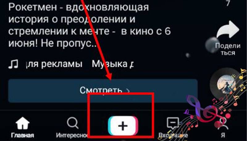 Кот степан с бокалом: происхождение мема, оригинальное фото и ссылка на его инстаграм