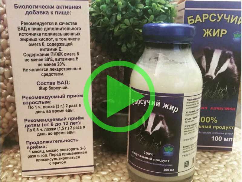 Барсучий жир. полезные свойства и вред продукта. использование в народной медицине, правильное хранение и приготовление