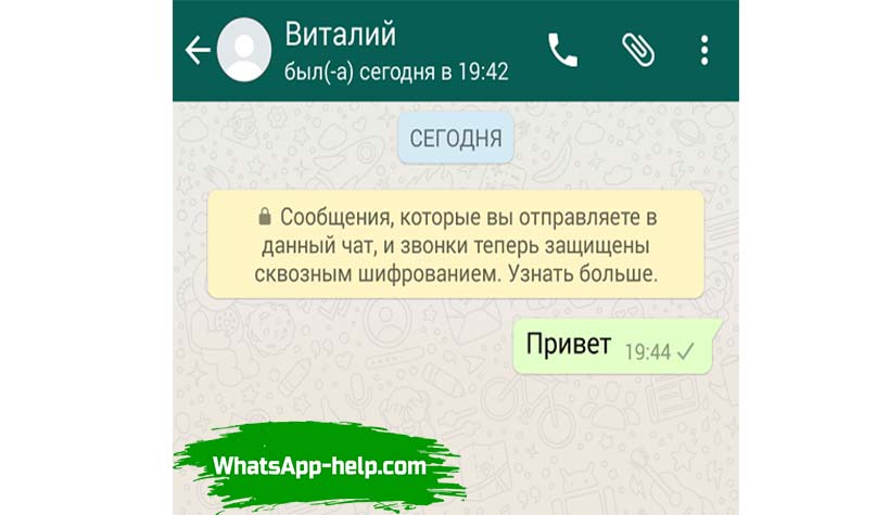 Галочки в ватсапе — что означают и почему не синеют, если сообщение прочитано