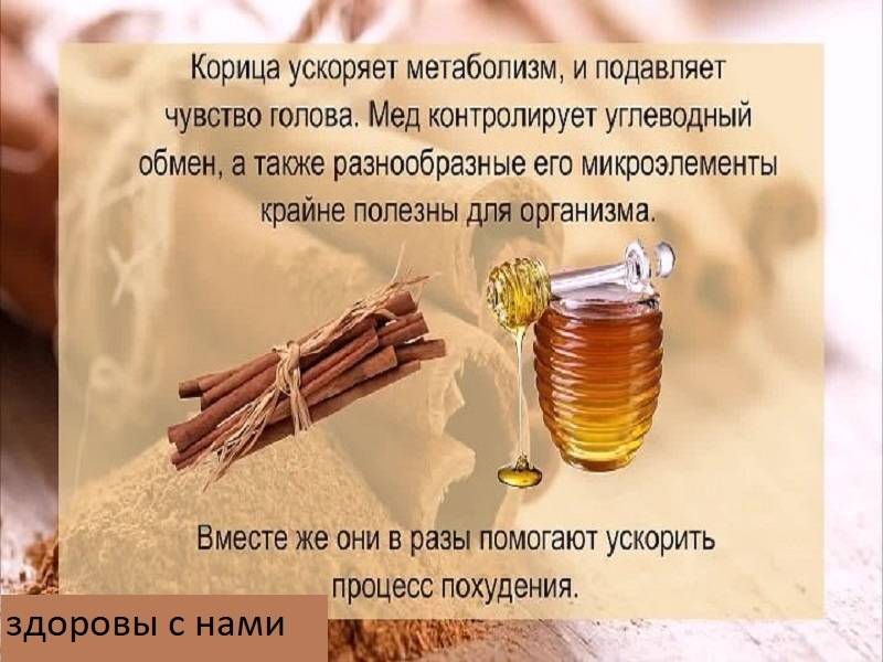 Сочетание корицы с медом обладают уникальными целебными свойствами