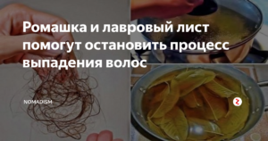 Лавровый лист для волос: отзывы, от выпадения, для роста, отвар, масло