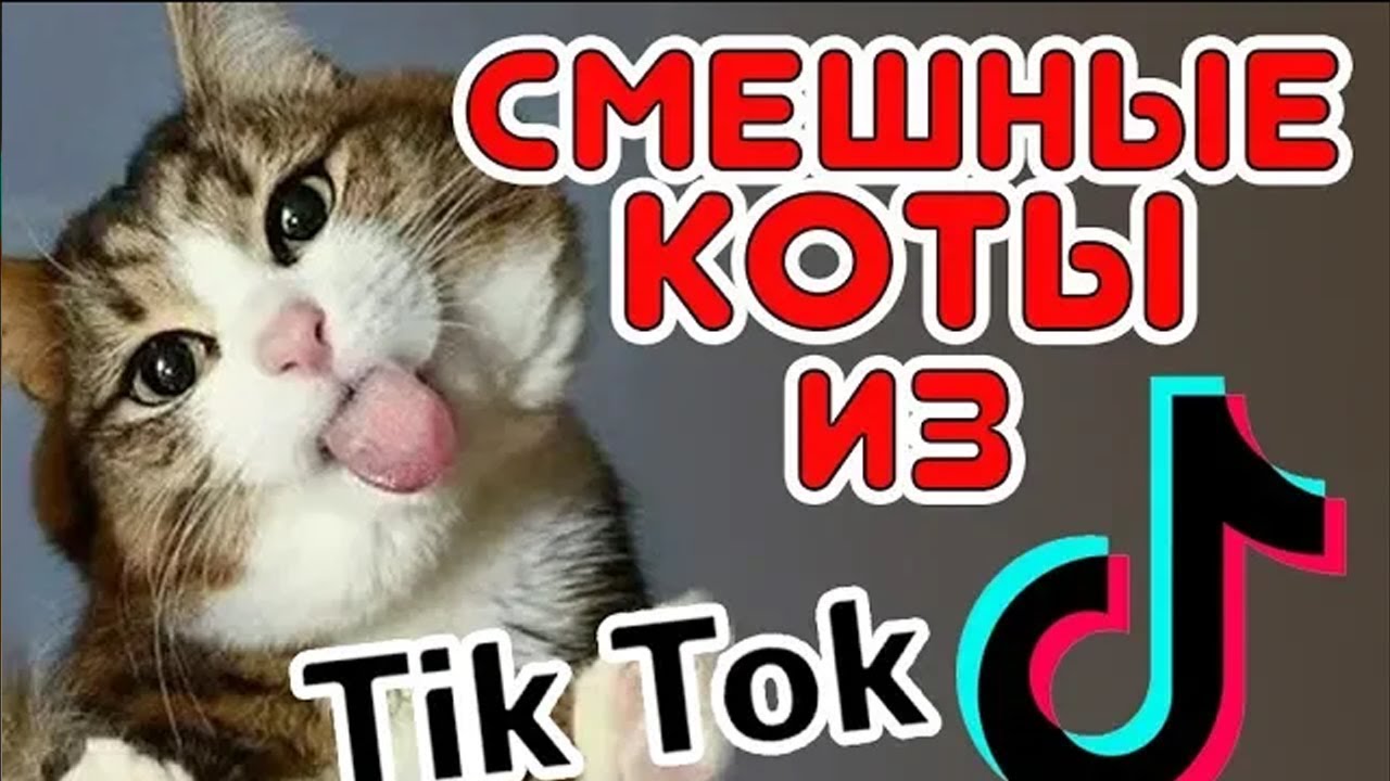 Как найти маску в тик токе