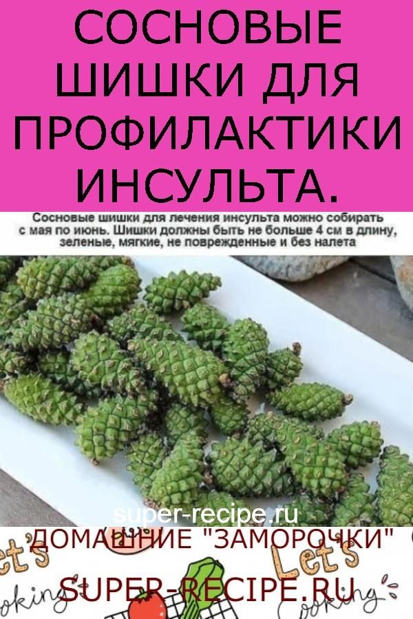 Сосновые шишки: лечебные свойства и противопоказания