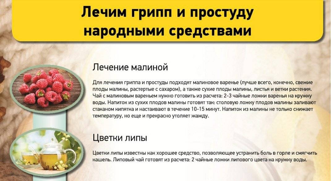 Водка с перцем от простуды: пропорции, рецепт, отзывы
водка с перцем от простуды: пропорции, рецепт, отзывы