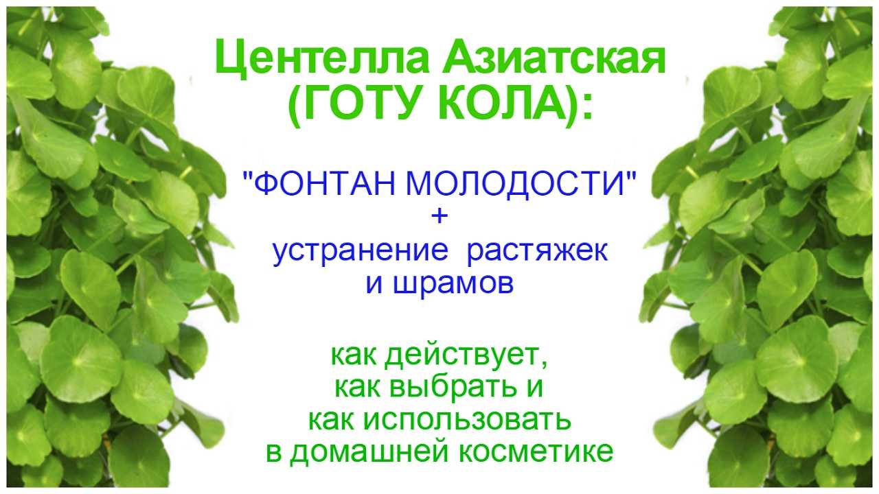 Центелла азиатская в косметике для лица