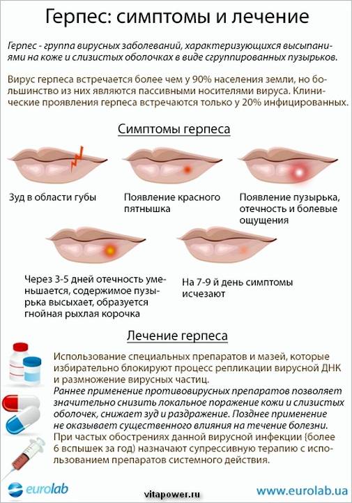 Лечение герпеса на губах в домашних условиях - народные рецепты и аптечные средства