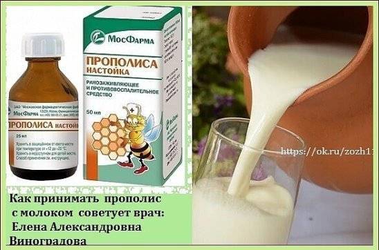 Как пить прополис от кашля детям и взрослым: настойка, рецепт с молоком | s-voi.ru