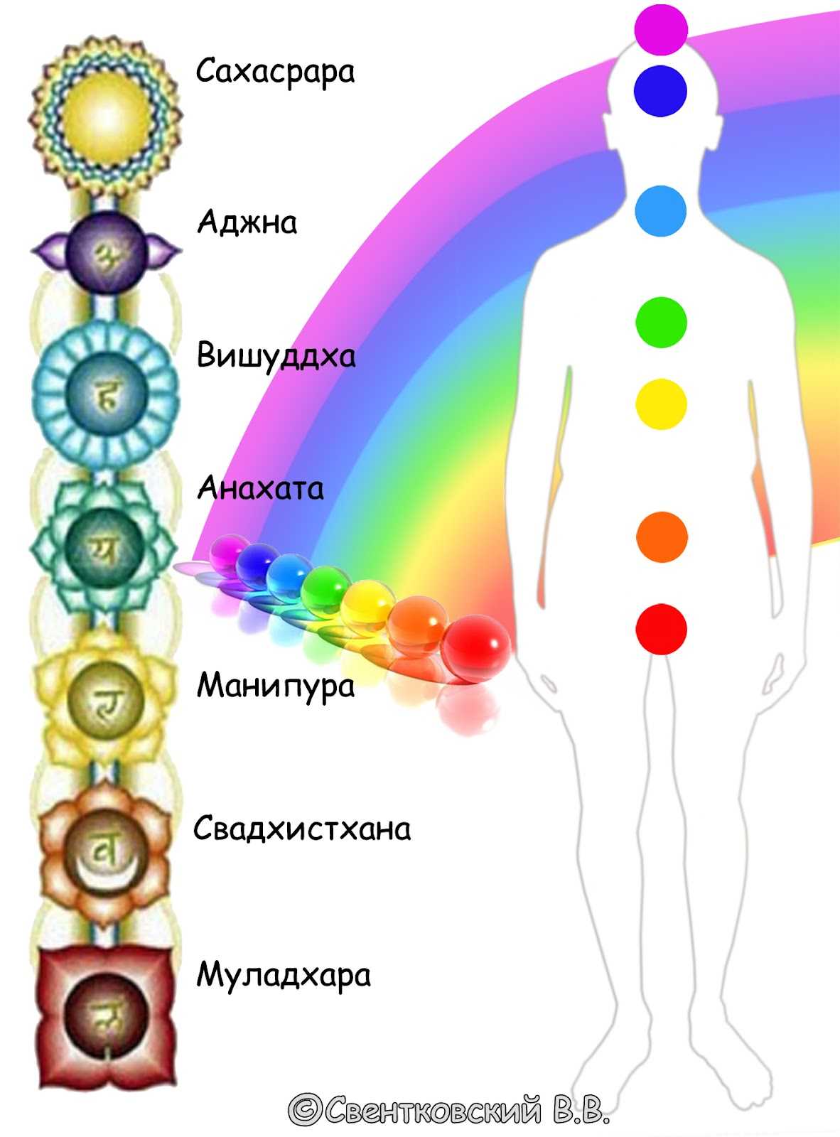 Основные чакры человека и их значение