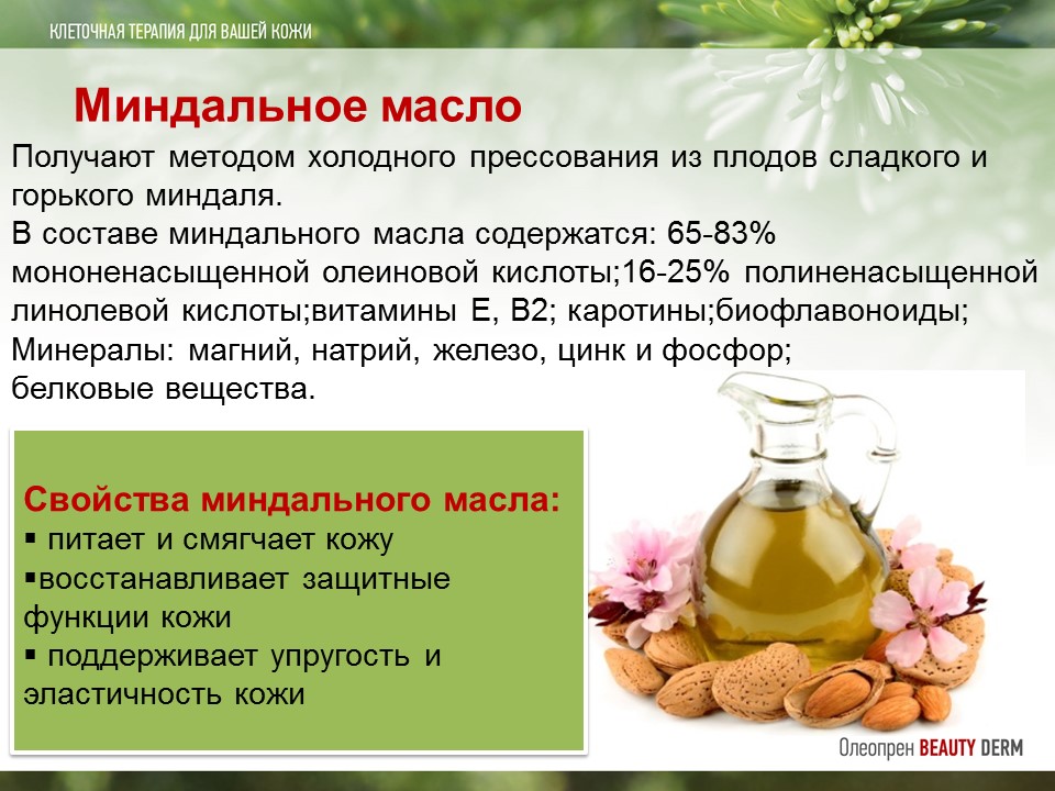 Миндальное масло: свойства и применение, вред и противопоказания
