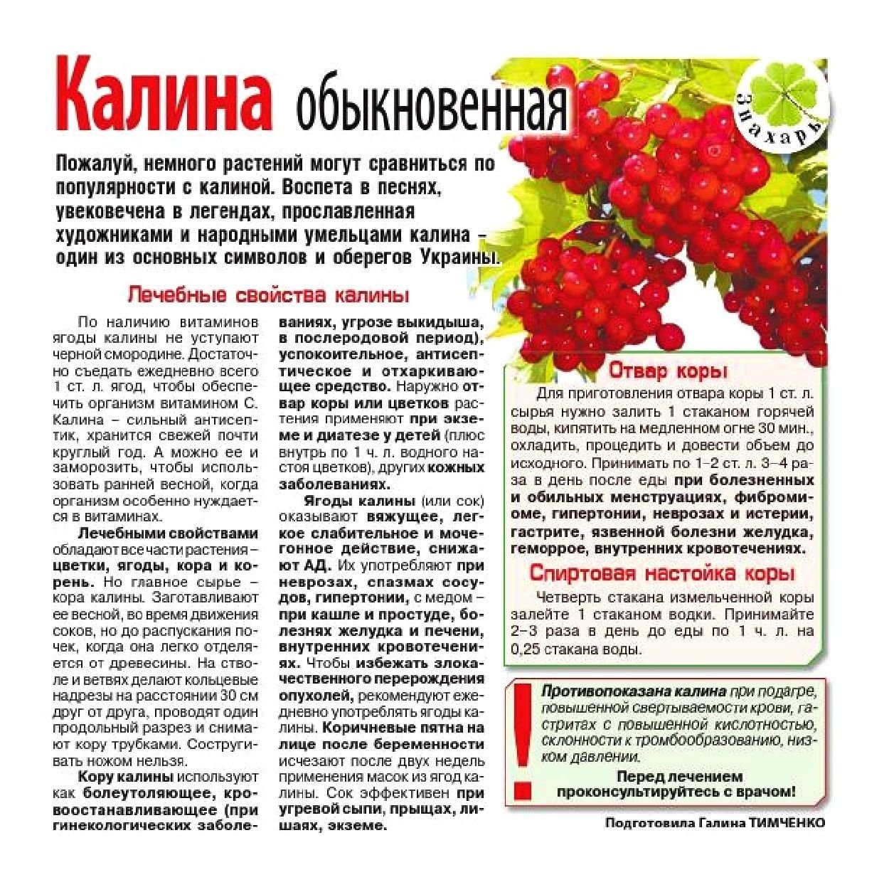 Калина от прыщей - эффективно очистит и восстановит кожу лица | za-rozhdenie.ru