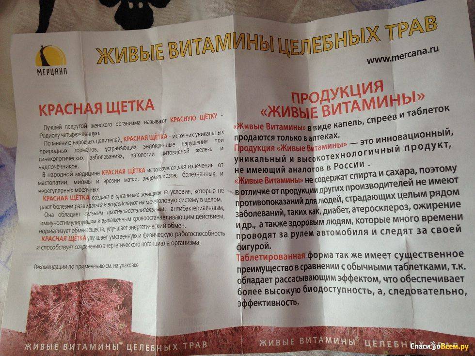 Как заваривать красную щетку. лечебные свойства растения красная щетка - применение отваров и настоек, показания и противопоказания | здоровье человека