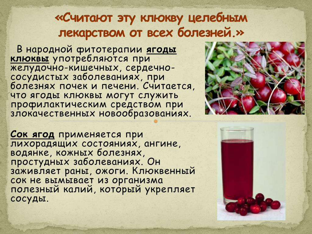 Клюква при цистите