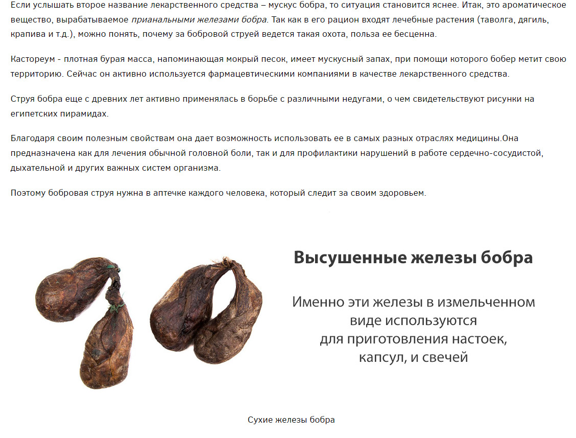 5 методов применения бобровой струи для повышения иммунитета, отзывы