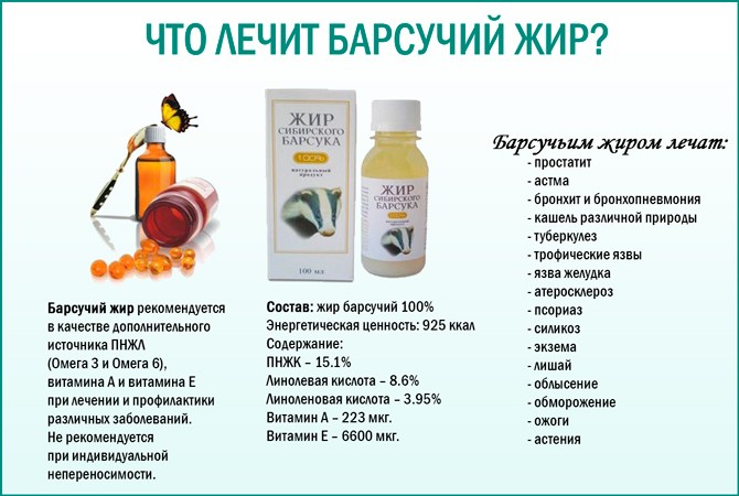 Виды кашля, при которых эффективен барсучий жир Состав жира барсука Как применять от кашля для детей и взрослых Противопоказания к применению барсучьего жира