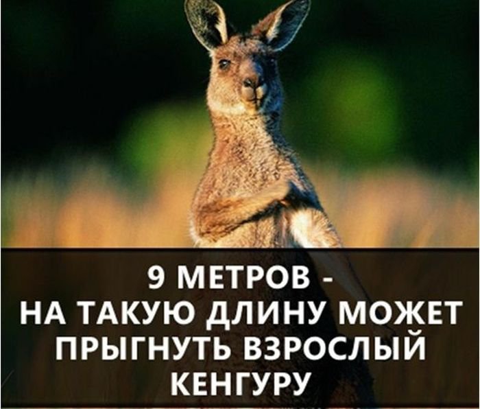 Яна Зубцова съездила на завод марки Zinger под Санкт-Петербургом и выяснила, что ровным счетом ничего об этой марке не знала А вы Проверьте себя Раскаиваюсь,