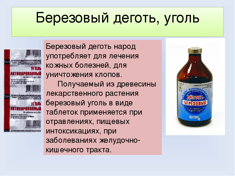 Березовый деготь для очищения организма: инструкция по применению внутрь и отзывы врачей