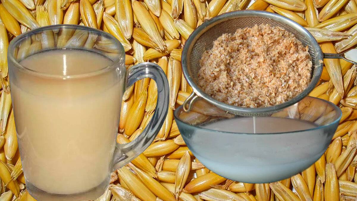 Овсяный квас: польза, вред, рецепты приготовления
