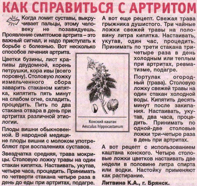 Что полезного содержится в конском каштане Как готовить настойку из каштанов от варикоза - 2 рецепта на спирту Как приготовить настойку каштана на водке Как использовать и готовить мазь из каштанов от варикоза вен