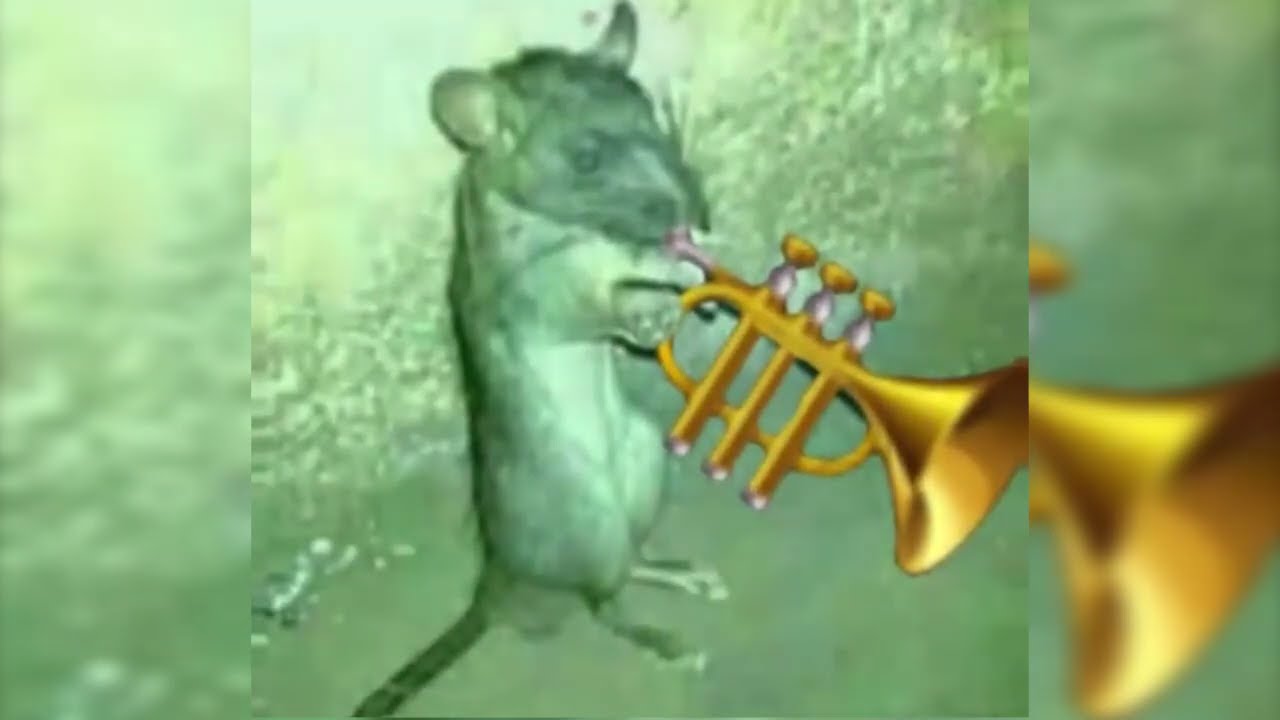Где брать маски для instagram