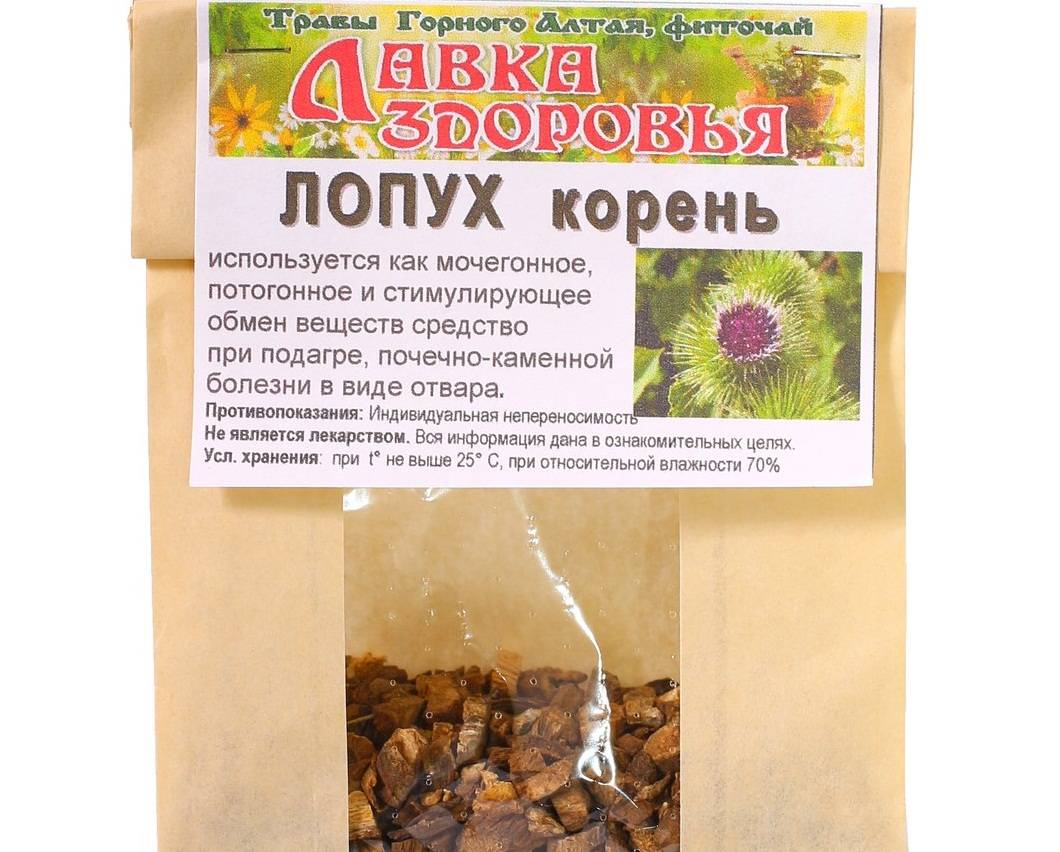 Польза и вред сока из листьев и корня лопуха