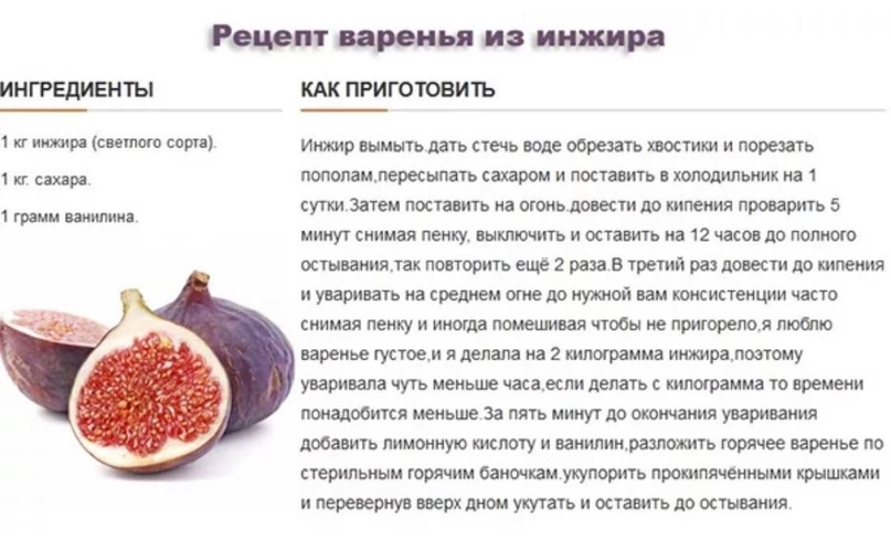 Как приготовить инжир от кашля для детей и взрослых? | s-voi.ru
