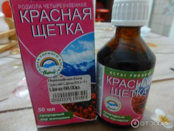 Красная щетка: свойства, состав, показания к применению, противопоказания, сочетание с другими травами