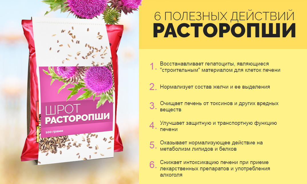 Шрот расторопши полезные свойства и противопоказания, как принимать для печени и для похудения