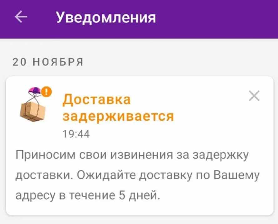 В wildberries масштабный сбой. пользователи теряют заказы и скидки - cnews