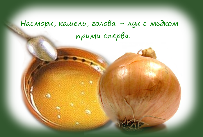 Лук с медом от детского кашля