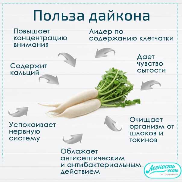 Польза черной редьки – почему стоит включить в рацион?