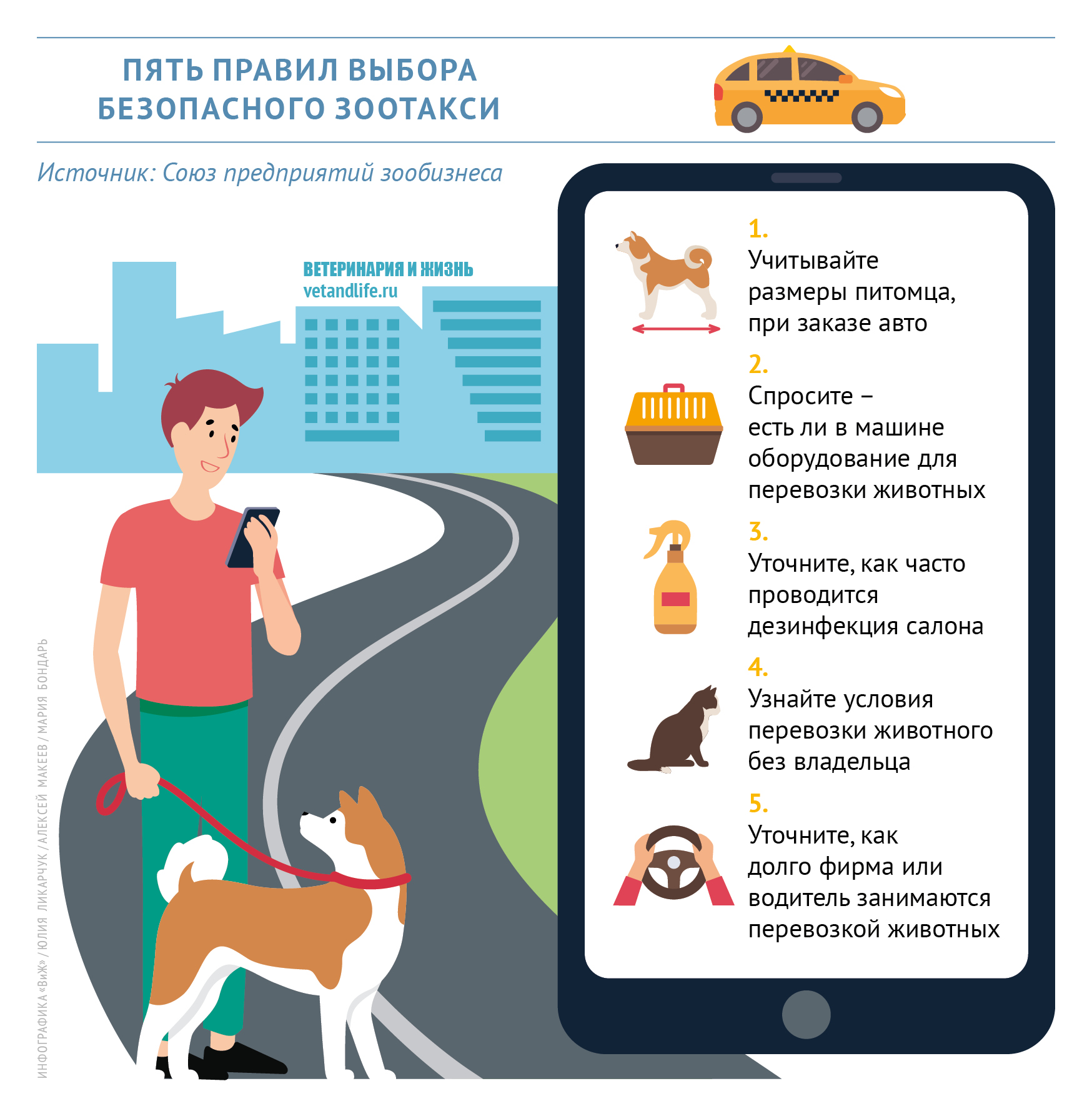 В такси с животными: правила, советы, тонкости
