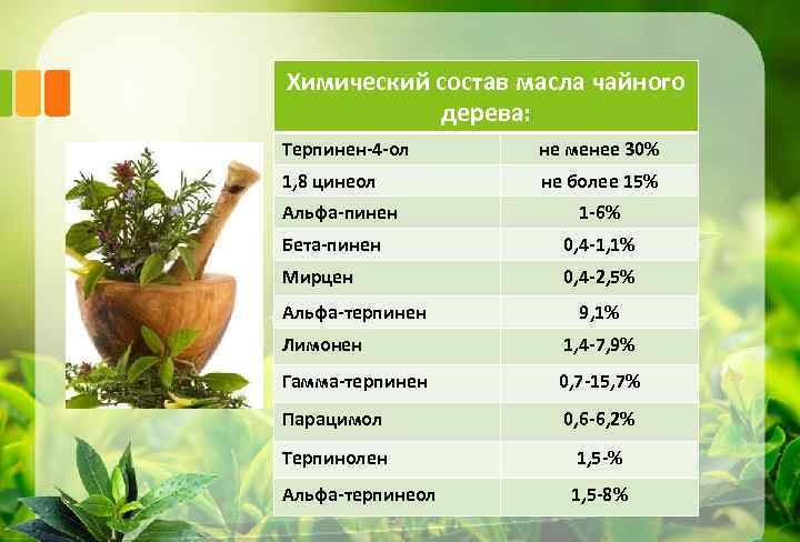 Масло чайного дерева от грибка ногтей: эффективный способ? рецепты домашнего применения масла чайного дерева от грибка ногтей