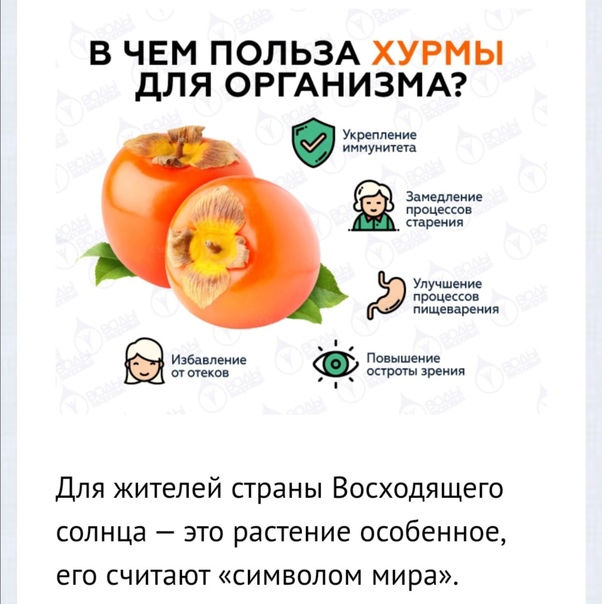 Хурма: польза и вред для организма, полезные свойства и противопоказания для женщин, мужчин, волос, кожи