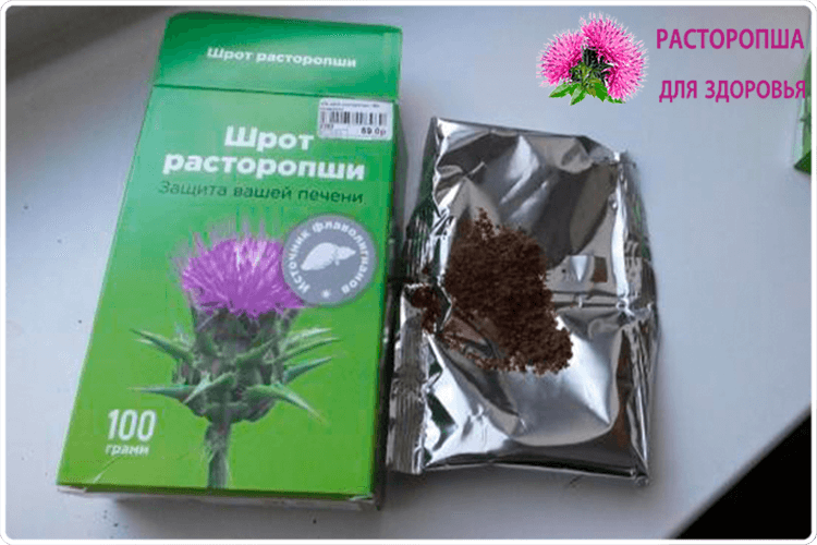 Лекарственное растение расторопша: описание, свойства, польза и вред, применение, показания, противопоказания, рецепты