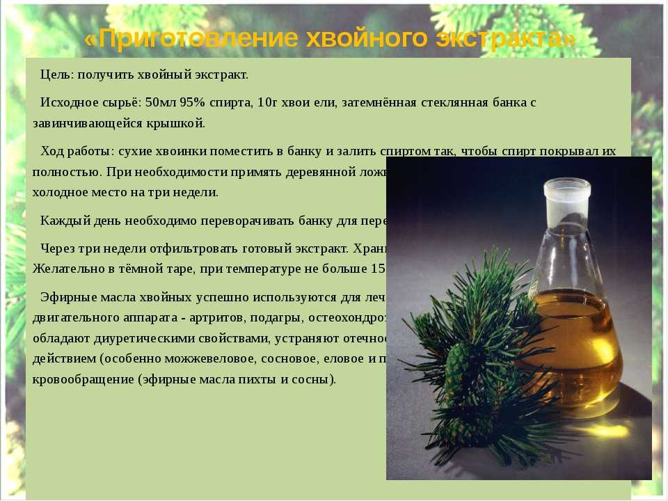 Корень крапивы: лечебные свойства для мужчин, женщин, от выпадения волос, как приготовить, заваривать, применение настойки на водке, фото